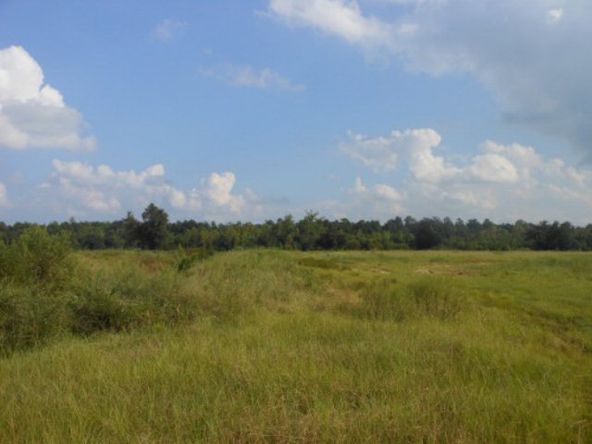 0 Hwy 15 South, Sumter, SC 29150